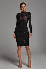 Aerilla sleeved Elegant Dress