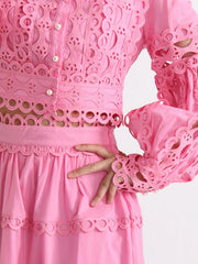 Lace Button Up Long Sleeve Top and Skirt Set