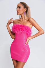 Peira Sequin Feather MIni Dress