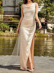 Savya Mesh Sleeveless Sequined Dress