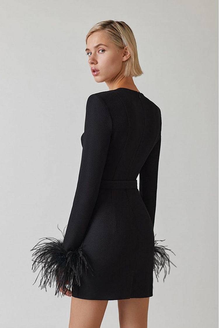 Aerika Feather Bodycon Mini Dress