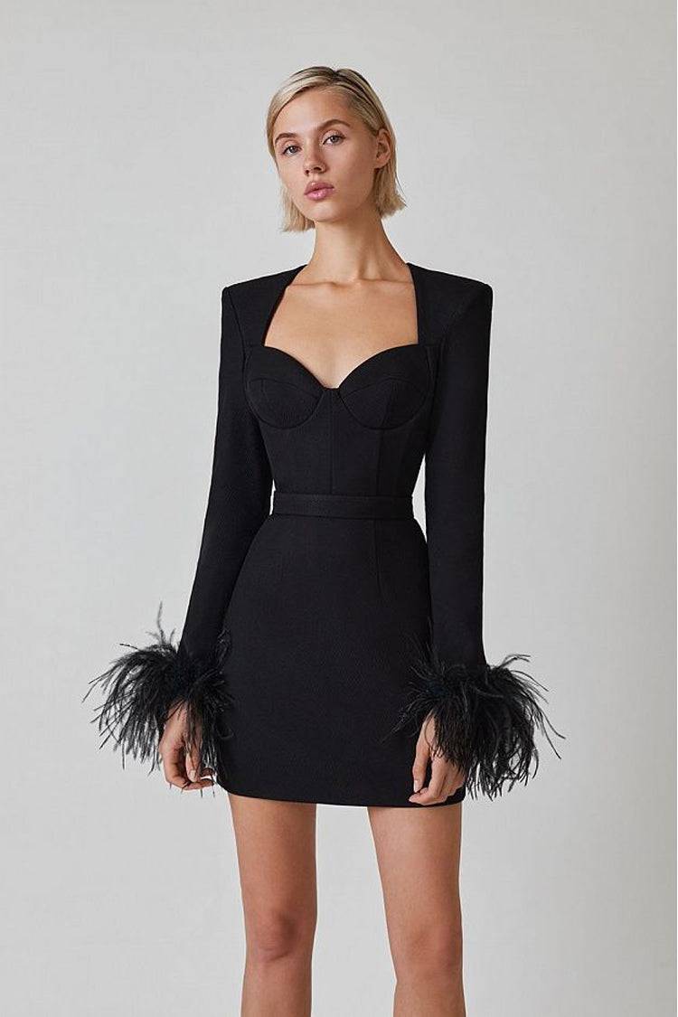 Aerika Feather Bodycon Mini Dress