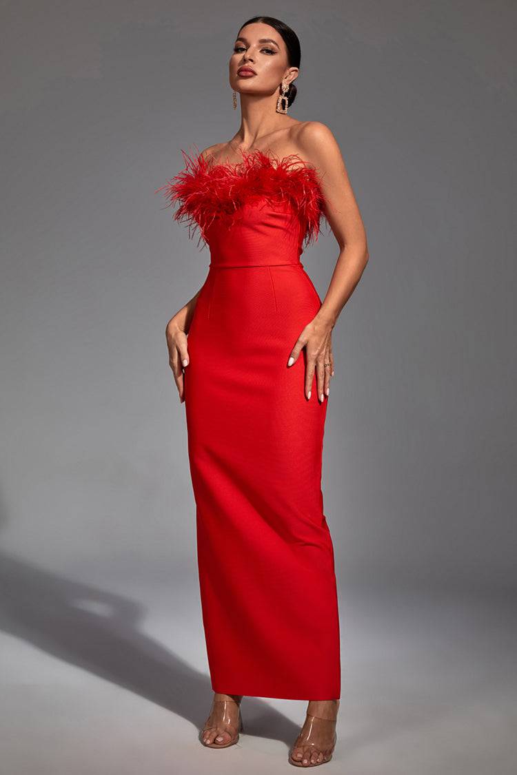 Aeira Feather Maxi Bandage Dress