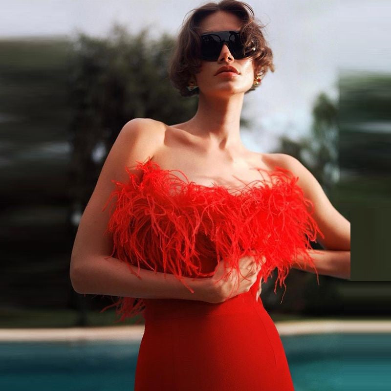 Aeira Feather Maxi Bandage Dress