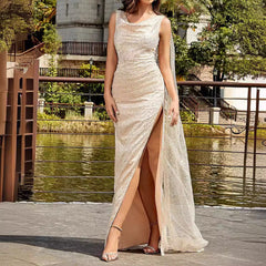 Savya Mesh Sleeveless Sequined Dress
