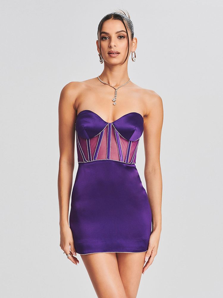 Mesh Corset Mini Dress