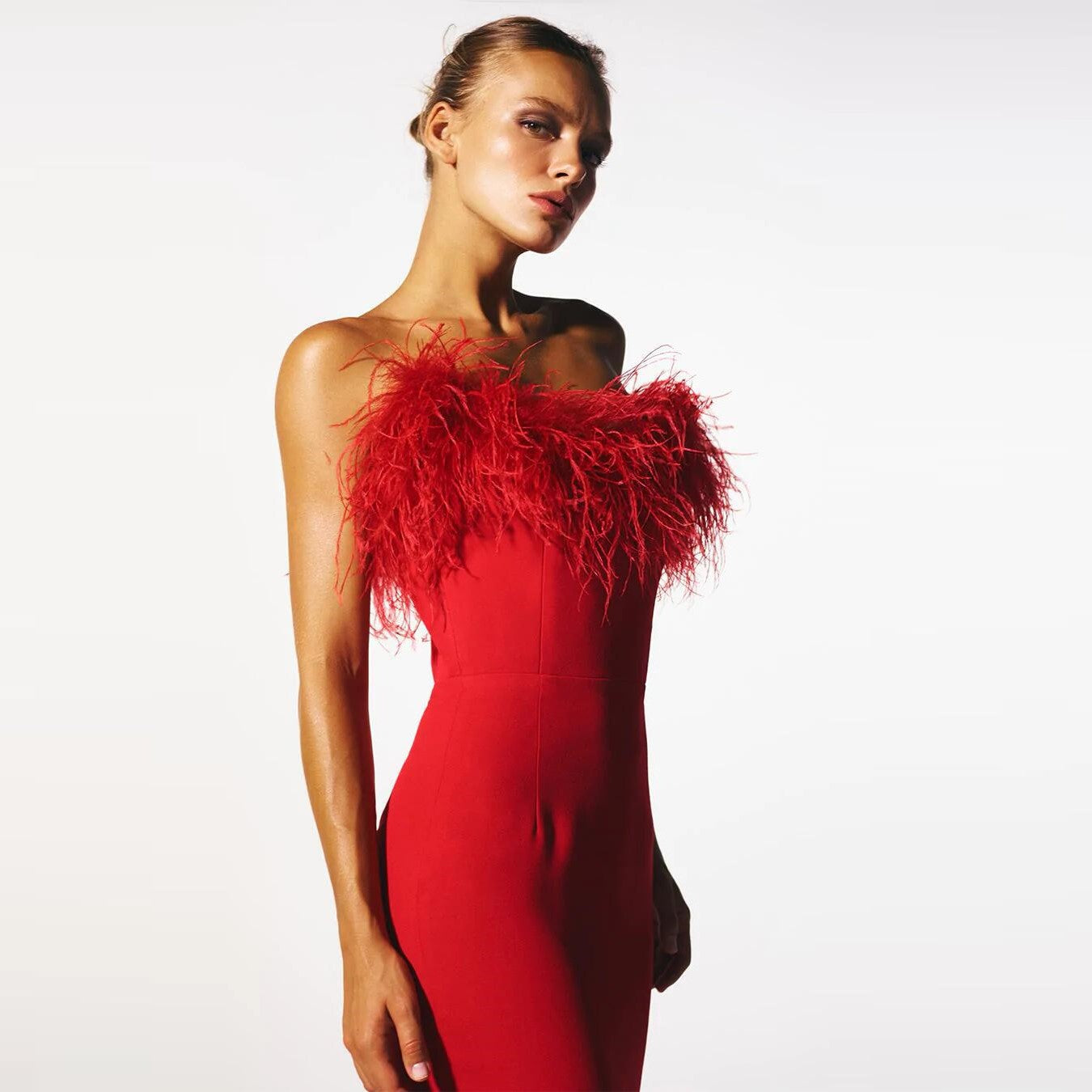 Aeira Feather Maxi Bandage Dress