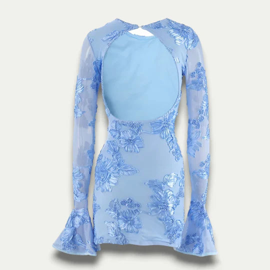 Eleka Mesh Mini Sleeved Dress