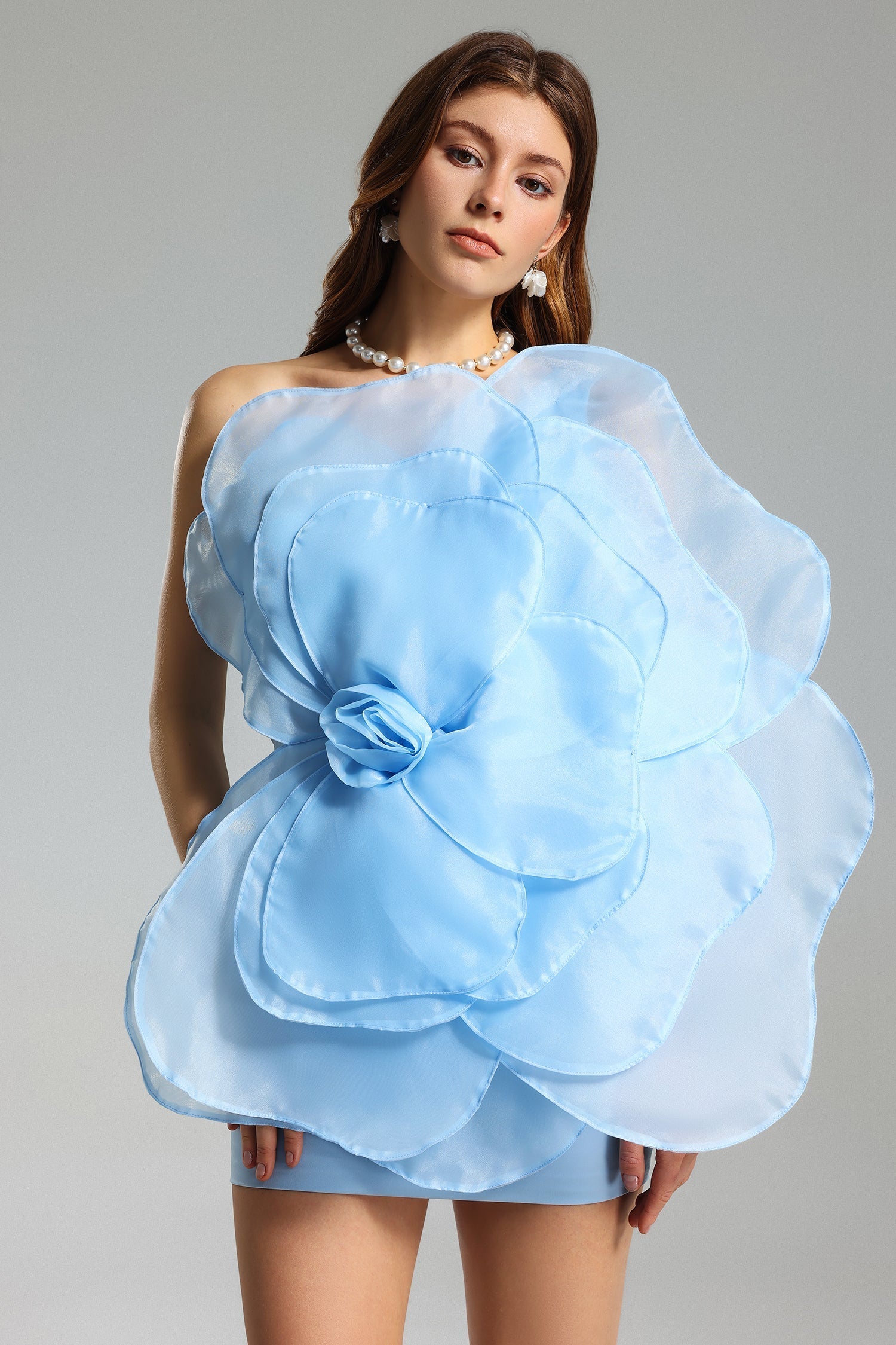 Aluya Oblique Shoulder Elegant Dress