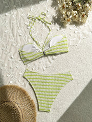 Pink Stripe Bikini Set