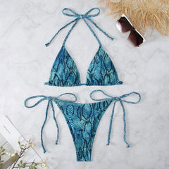 Snake Print 2-piece Swimsuit