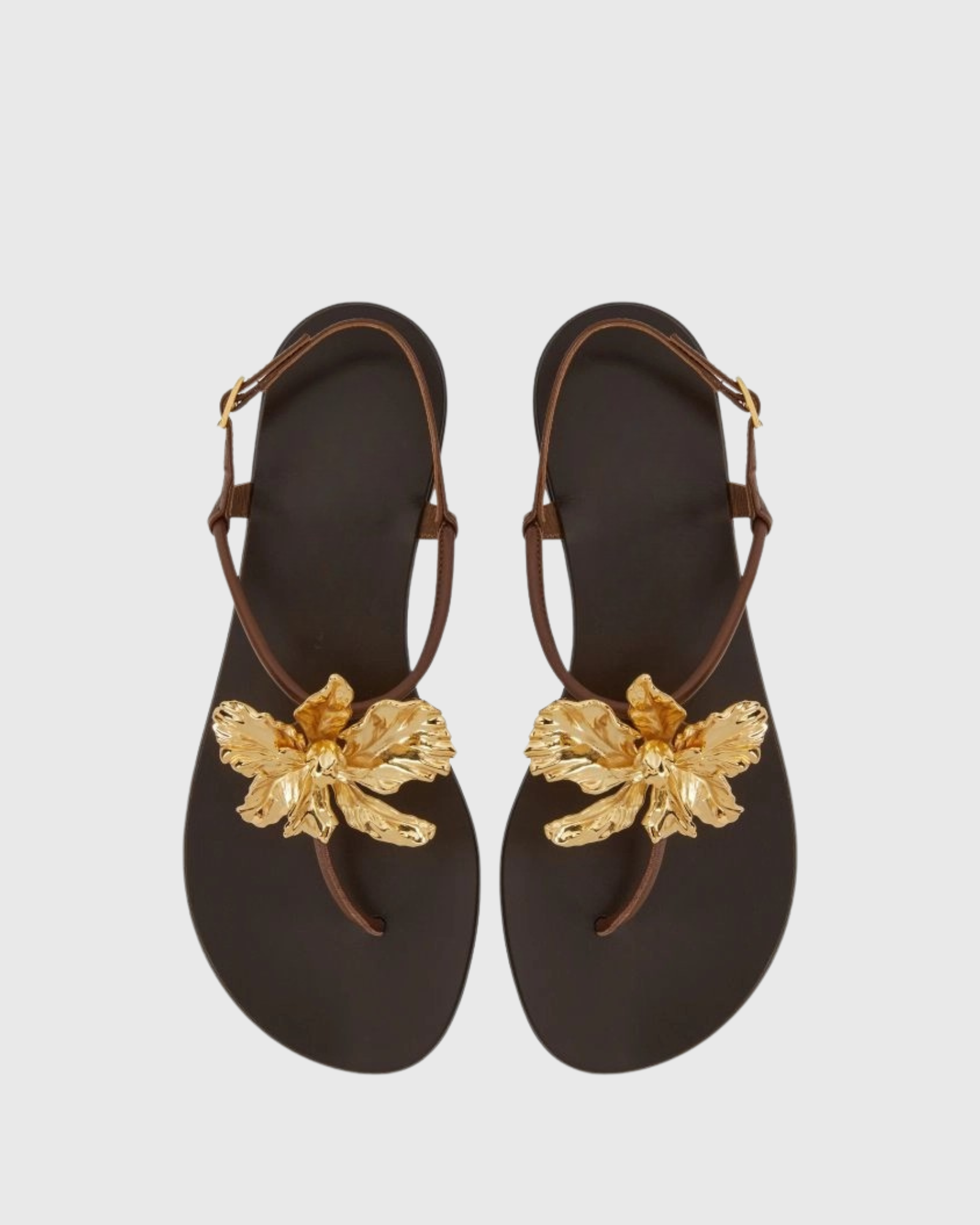 Vail Gold Flower Thong Flats In Dark Brown