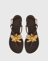 Vail Gold Flower Thong Flats In Dark Brown