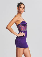 Mesh Corset Mini Dress