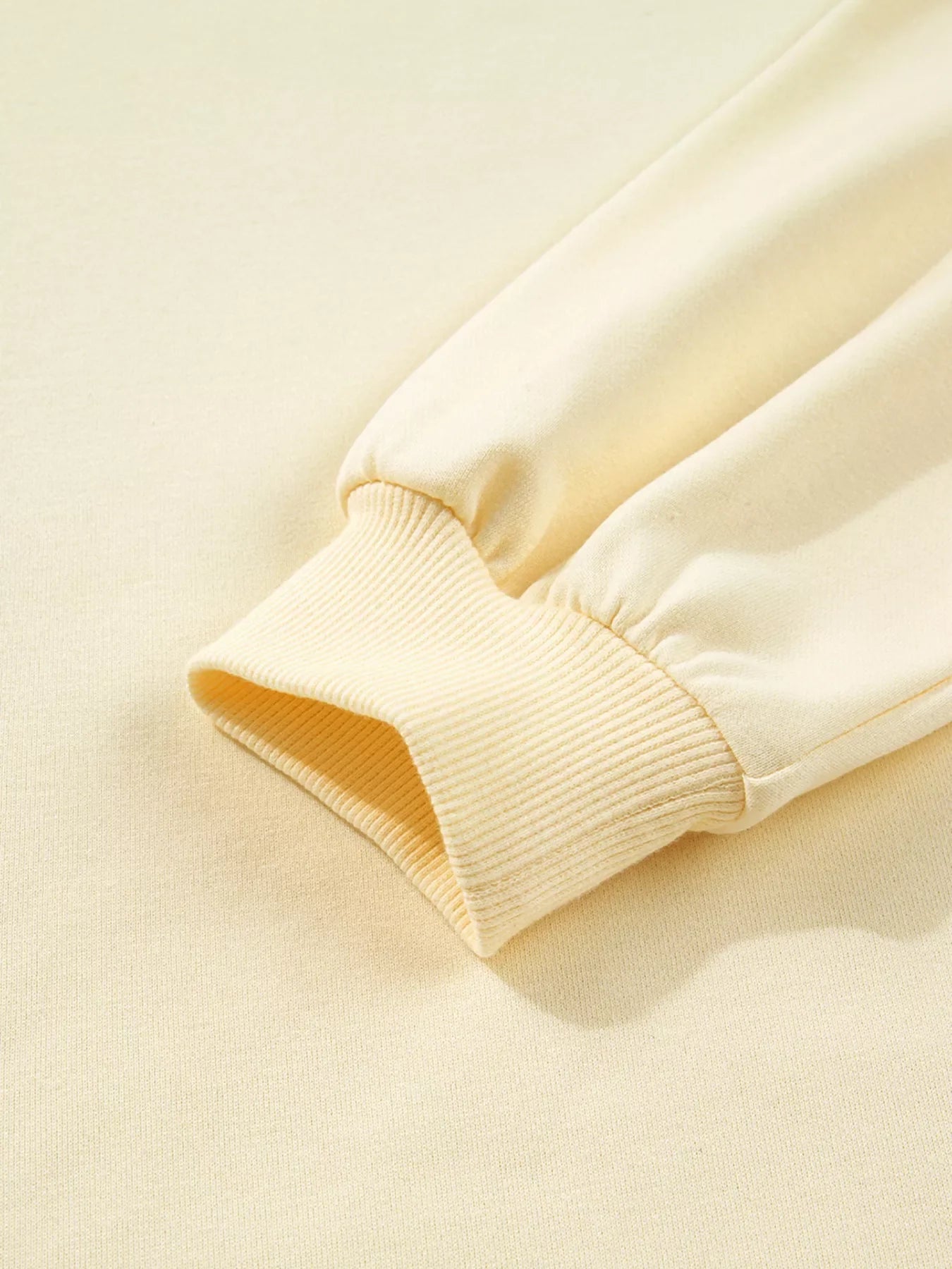 Double Tiered Ruffle Hem Long Sleeve Loose Mini Dress