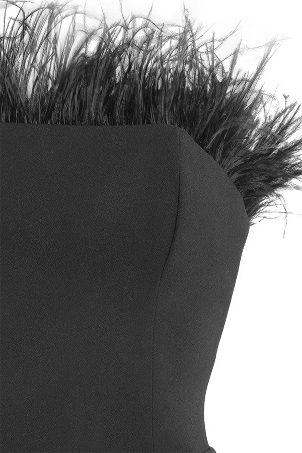 CHIC STRAPLESS FEATHER DRESS
